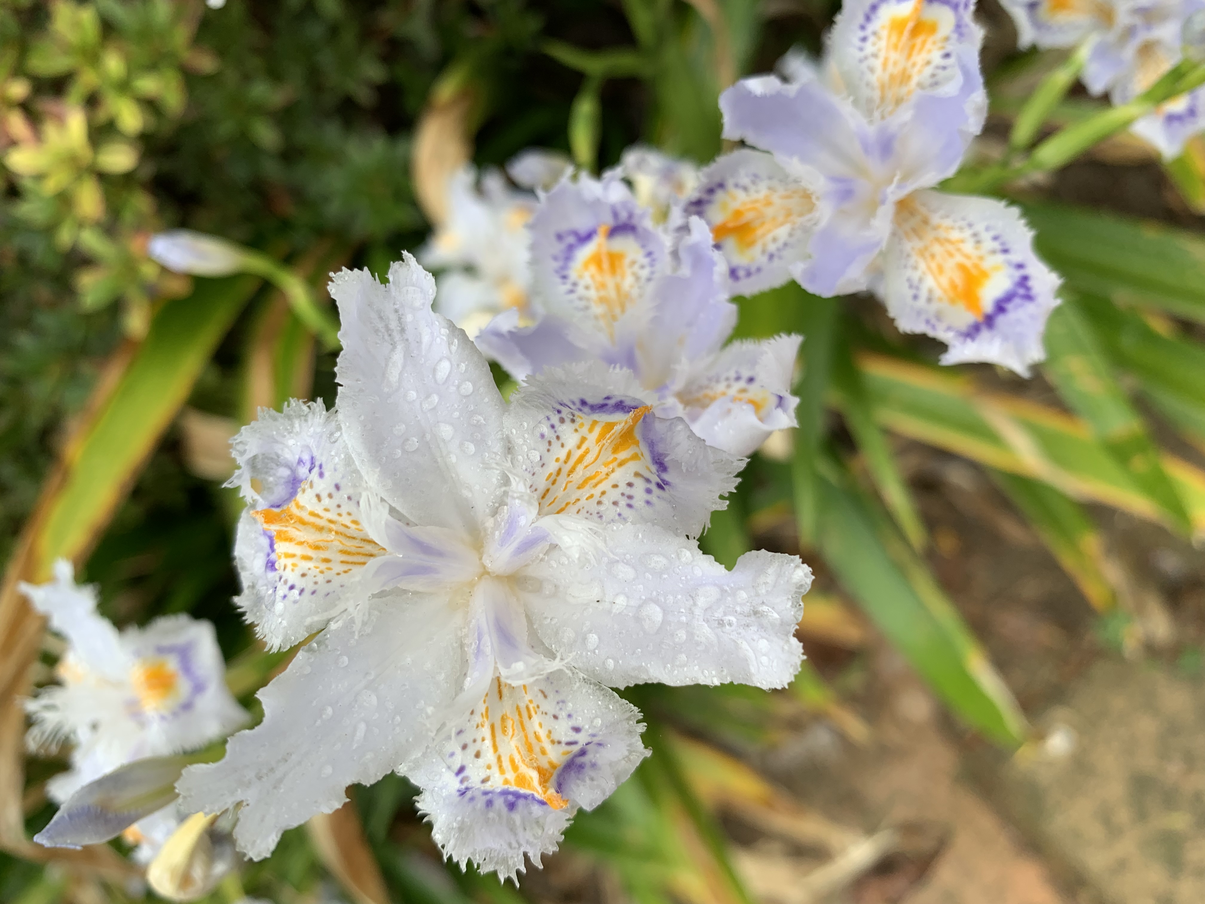 占い師雷生のお気に入り写真1